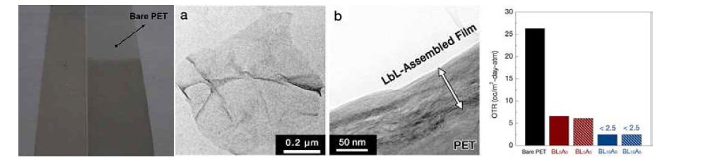 그래핀을 적층한 PET 고분자 필름의 전자현미경 사진 및 산소투과 특성
