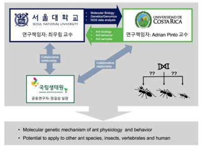 서울대학교 본 그룹-코스타리카 대학-국립생태원간 공동연구 관계를 나타낸 개요도