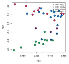 전사체 데이터가 생성된 40개 개미샘플의 PCA 결과. Large-middle-small간 bias를 보이는 PC2는 전체 sample variance의 5.0%밖에 차지하지 않음