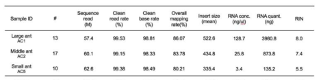 신규 획득 샘플 40 케이스의 RNA quality, RNA-seq data quality 데이터