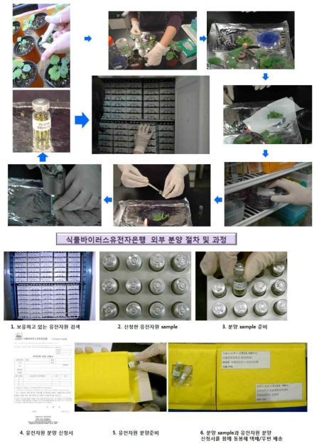 식물바이러스 분양 절차 및 과정.