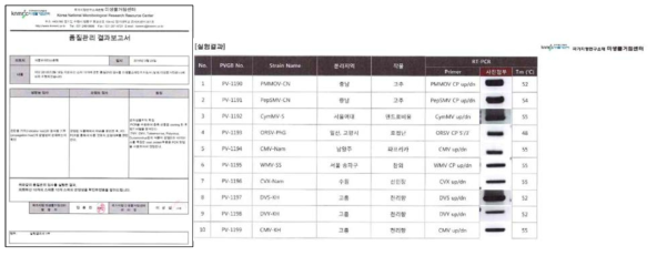 외부기관으로부터 식물바이러스 연구소재 품질검사.