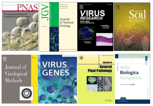 식물바이러스 연구소재 활용 논문 발표 국제 학술지.