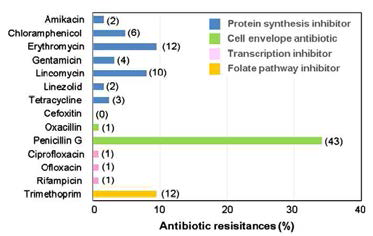 Antibiotic resistance of the 126 S. equorum strains from jeotgal.