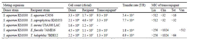 In vitro transfer of lnuA from S. equorum to Gram-positive recipient strains.