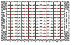 The arrangement shape of gap-spring elements for an accident analysis