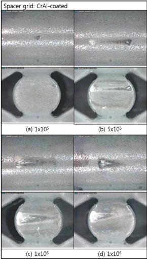 Wear scar of CrAl-coated spacer grid with increasing number of cycles