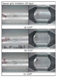 Wear scar of 30 days oxidized spacer grid with increasing number of cycles