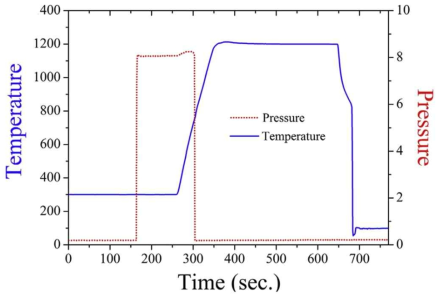 Integral LOCA 시험 중 압력 및 온도 이력