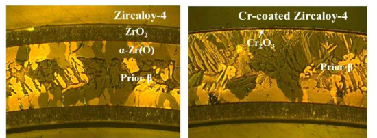 고온 산화 실험 후 Zircaloy-4와 Cr-coated Zircaloy-4 광학 이미지