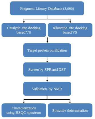 Flow chart for fragment-based lead discovery