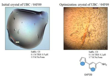 Crystal structure of UCP/04F09