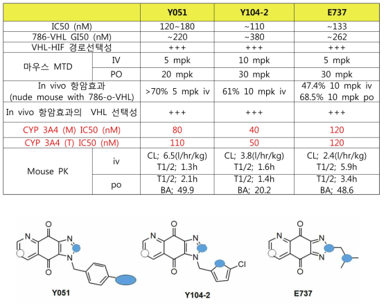 초기후보물질 (Y051, Y104-2, E737)의 항암활성 및 약물상호 작용