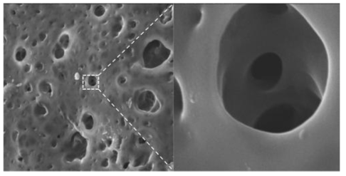 Imidazolium acrylate/MMA nanolatex의 공극과 상분리를 보여주는 SEM 결과