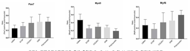면역조직화학염색을 통해 측정한 Pax7, MyoD 및 Myf6의 각 질환별 발현율
