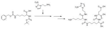 hypoxia용 물질이 접목된 PSMA inhibitor구조 제조