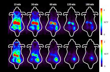 PET imaging