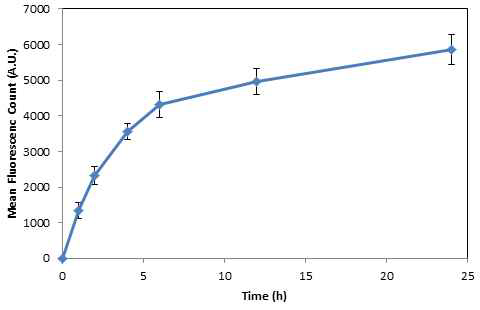 리포좀의 Transfection