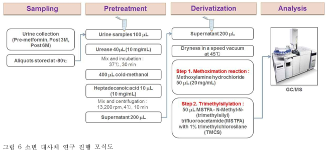소변 대사체 연구 진행 모식도