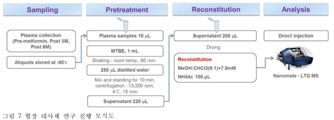 혈장 대사체 연구 진행 모식도