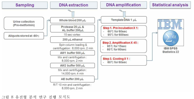 유전형 분석 연구 진행 모식도