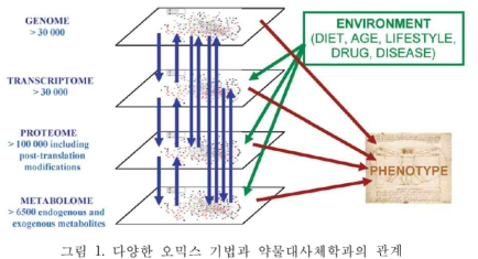 다양한 오믹스 기법과 약물대사체학과의 관계