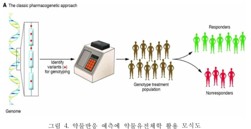 약물반응 예측에 약물유전체학 활용 모식도