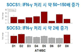 지방조직 유래 중간엽줄기세포에서 IFN-γ 노출 시간에 따른 SOCS의 발현 변화