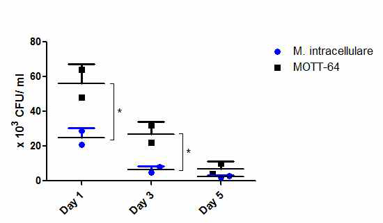 제 1형 및 2형 M. intracellulare의 PBMC-derived monocyte 내 생장률 비교.