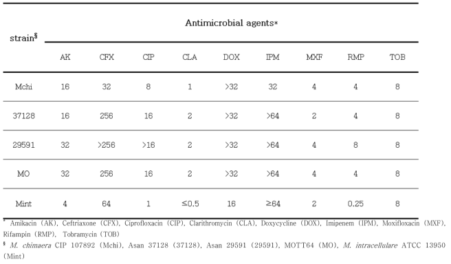 M. intracellulare 연관균주들의 항생제 감수성 결과