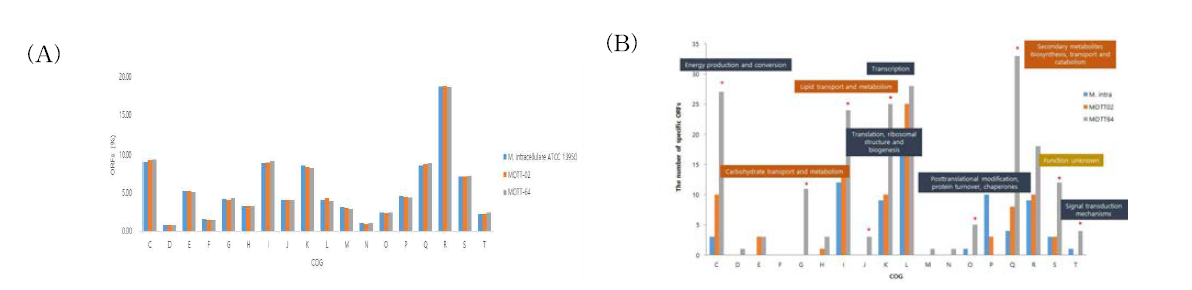 MOTT-64 균주와 M. intracellulare ATCC 13950T 및 MOTT-02 균주 유전자들의 COG 기능에 따른 분류 그래프.