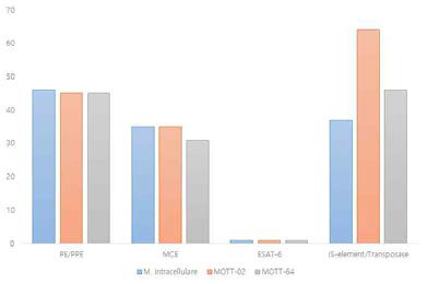 대표적으로 알려진 병원성 유전자 및 IS-element/transposase의 MOTT-64 균주 유전체 내 개수를 M.