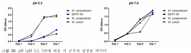 pH (pH 5.3, 7.0)에 따른 각 균주의 성장률 데이터.