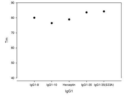 RT-PCR을 이용한 IgG1-8, IgG1-10, Herceptin, IgG1-36 (VH3-23/VK 1-39)의 Tm 분석