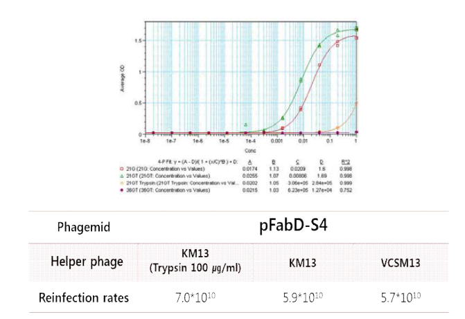 VCSM13 또는 KM13 phage 에 display된 4D5 Fab의 HER2 결합능 분석