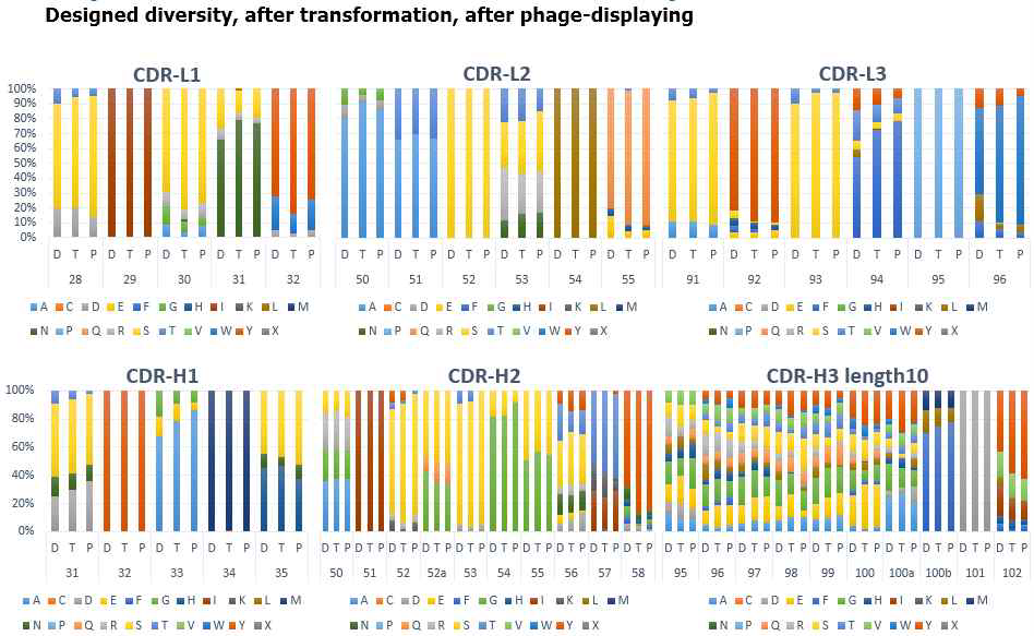 디자인한(D), 합성 및 transformation 후(T), 및 phage display 후 얻은 Fab 클론들의 CDR 염기서열 분석