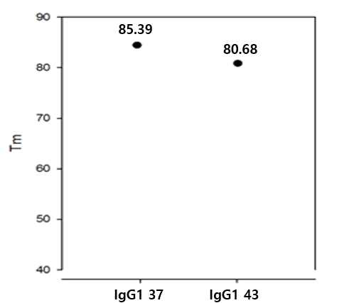 RT-PCR을 이용한 IgG1-37(VH3-20, IgG1-43(VH1-69/VK1-39)의 Tm 분석