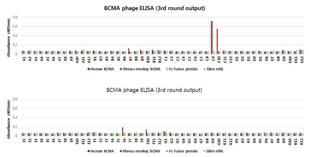 Monoclonal phage ELISA.