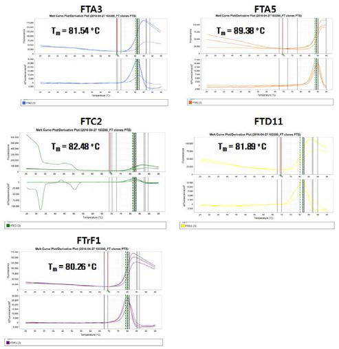 Thermal stability analsysis of 5 Fabs by protein thermal shift (PTS) assay.