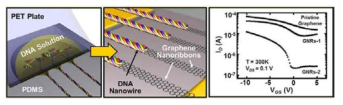 용매증발법을 이용한 DNA 바이오 고분자 플로우 코팅 기술 및 그래핀 패턴화 공정과 전기소자 측정.