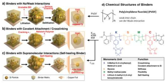 고분자 바인더의 분류 및 화학적 구조