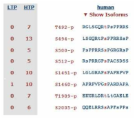 PhosphoSite에서 조사한 rootletin의 인산화 예상 지역.