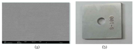 (a)SEM image of stainless steel surface after dissolution test and (b)photograph of stainless steel specimen.