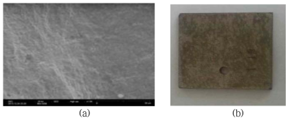 (a)SEM image of Inconel-600 surface after dissolution test and (b)photograph of Inconel-600 specimen.