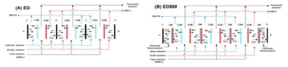 ED, EDBM 전해투석 셀 구성