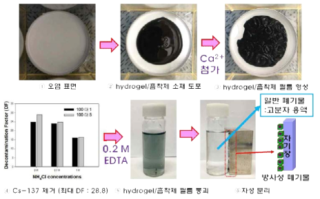 외부자극 민감성 hydrogel/흡착제 복합소재의 표면 오염 제거 실험 및 사용 후 복합소재의 자성분리 과정.