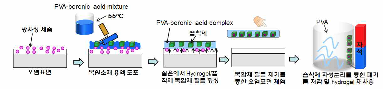 PVA-boronic acid 기반 hydrogel/흡착제 복합소재의 오염표면 복원과정