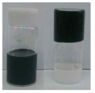 용액 A (Alg-PBA : 2 wt%, 흡착제 0.5 wt%)와 용액 B (PVA : 8 wt%, 흡착제 0.5 wt%)로 제조된 PVA/Alg-borate/흡착제 hydrogel의 상변화 이미지