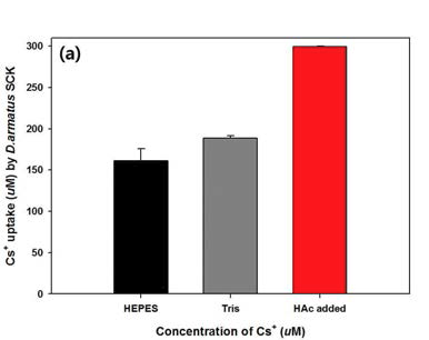 25°C에서 HEPES, Tris, 그리고 아세트산(acetic acid, HAc)를 함유한 Tris buffer medium에서의 세슘 제거율