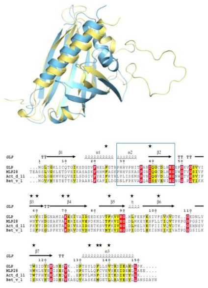 GLP151과 다른 Bet v 1 superfamily members사이에 구조 비교.